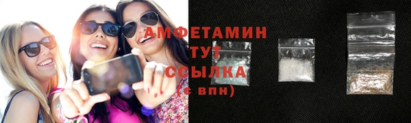 крисы Кулебаки