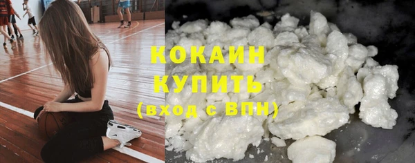 крисы Кулебаки