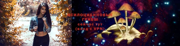 индика Куйбышев