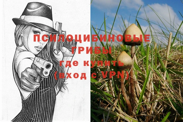 марки nbome Кукмор