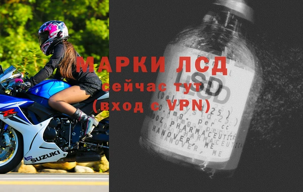 крисы Кулебаки