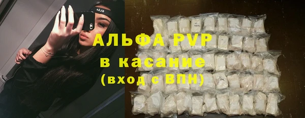 крисы Кулебаки