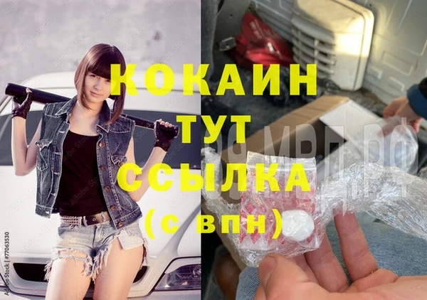 крисы Кулебаки