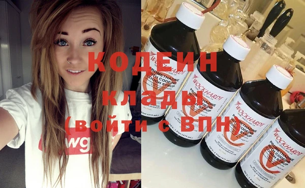 индика Куйбышев