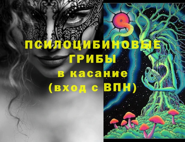 индика Куйбышев