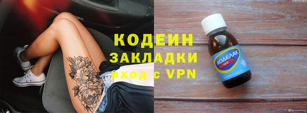 крисы Кулебаки