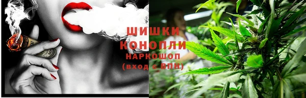 крисы Кулебаки