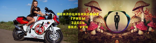 индика Куйбышев