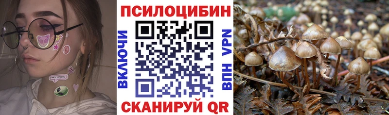 МЕГА ТОР  наркошоп  Юхнов  Псилоцибиновые грибы MAGIC MUSHROOMS 